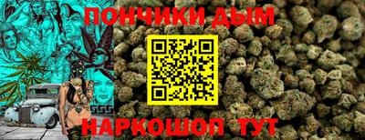 молекула духа Будённовск