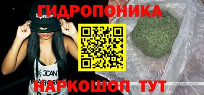 молекула духа Будённовск