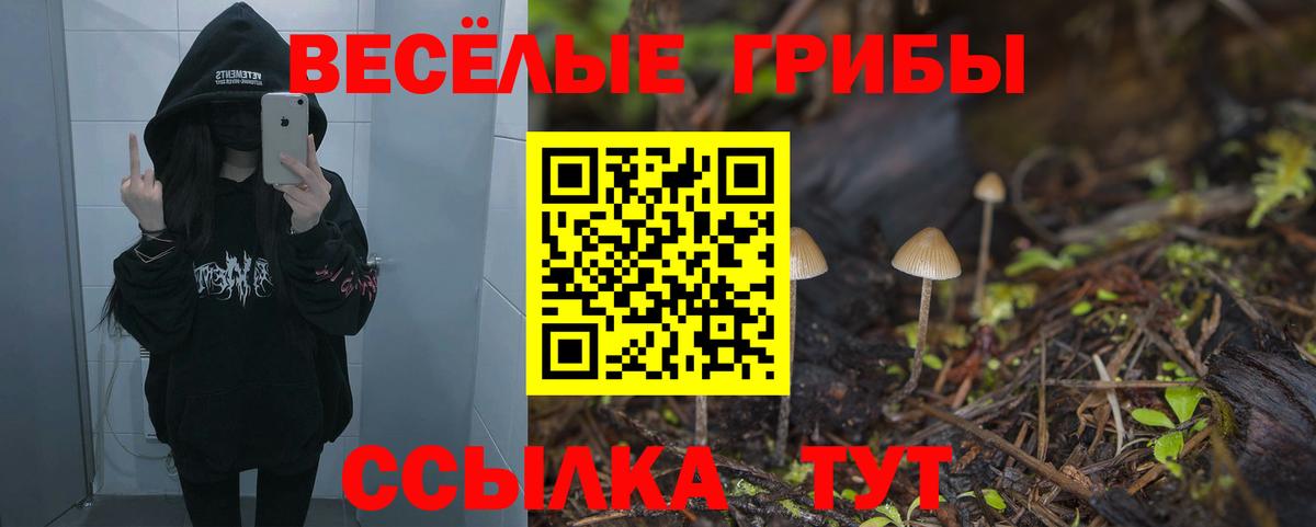 Псилоцибиновые грибы мицелий  Вход с VPN  Родники  Галлюциногенные грибы прущие грибы 